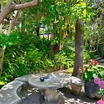 Grand Estate With Tropical Gardens *