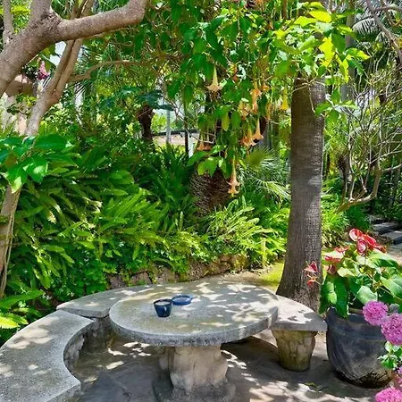Grand Estate With Tropical Gardens *